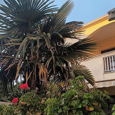 Studio Apartman Casper Zadar Luaran gambar